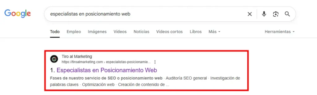 especialistas en posicionamiento web tiro al marketing en google como primer resultado